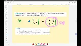 P3 and p4  properties of a determinants