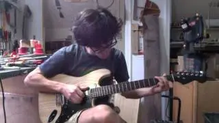 Custom Strat-Style Guitar:  Dubova Musical Instruments