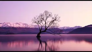 Relaxing Sleep Music, Beautiful Twilight