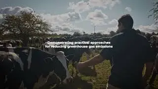 What is The UK Dairy Carbon Network?