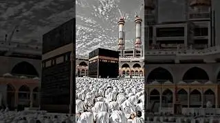 🙌🌹#madina​ #love​ #rasoolallah​ #prophet​ #muhammadﷺ​ #shorts​ #ytshorts​ #islam​ #yutube​ #yutub