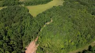 172+/- acres - McNairy Co, TN - Bullman Rd