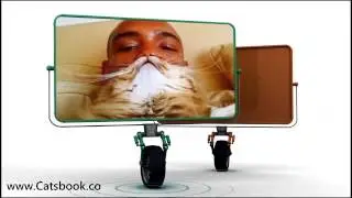 Best Cat Beard Compilation