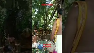 Nagapooja / Sopana JyothiS