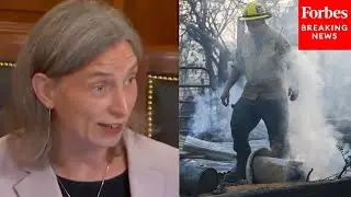 Maxine Dexter: &lsquo;We Have Been Failing To Track The Long-Term Health Of Wildland Firefighters&rsquo;