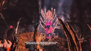 DCUO - Brother Blood Fight Earth Dps
