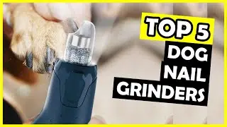 TOP 5: Best Dog Nail Grinder of 2025