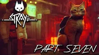 [Stray] - Part 7 - Jail, Control Room, The End