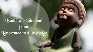 Buddha is The path from Ignorance to knowledge| Buddha lesson| Reach The Destination