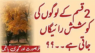 Two types of people try in vain!Beautiful and profound things! Famous Quotes In Urdu! ZKvoice