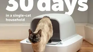 PetSafe ScoopFree Crystal Pro Litter Box 🧼🐱 | Self-Cleaning, Odor Control & Enclosed Design!
