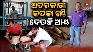 Odisha: Making the Best out of Waste, Useless Banana Parts Making Money