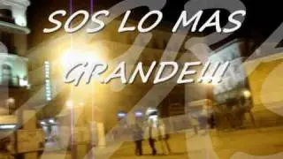 BLOOMING CAMPEON 2009