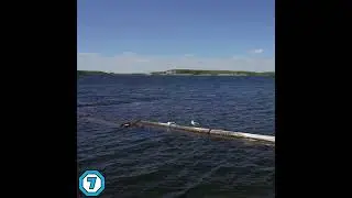 Clips from Elkwater Lake