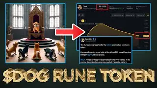 Торгуйте токенами $DOG Rune прямо сейчас (обучение перед выходом на рынок) 📈