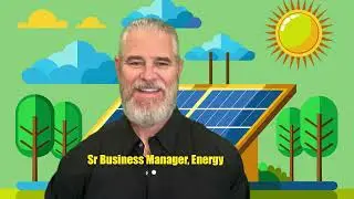 Senior Business Manager, Energy Systems