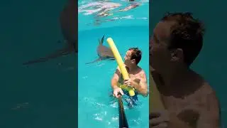 Dad Uses Pool Noodle Against Shark!