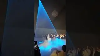 Animation Laser:Light up your wedding! #laserlight #weddinglaser