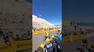 POGAČAR #vs VINGEGAARD & ALAPHILIPPE #montventoux #tdf #tourdefrance #cycle #cycling #ciclismo #epic