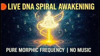 🔴 LIVE: DNA Spiral Awakening &ndash; Pure Frequency Session (No Music)