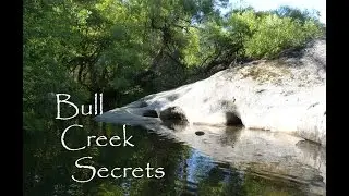 Bull Creek Secrets