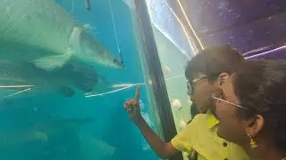 Weekending - Water Fish Tunnel EXPO, Kurnool