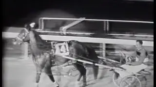 Harness Racing (Mount Eden-Jack Miles)