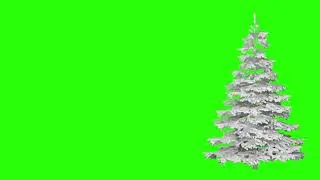 Christmas Tree Loop Animation on Green Screen | 4K | FREE TO USE