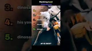 Ranking the Best Dog Sounds Ever 🐶🔊😂#dogs #dogsounds #funnydogs #dogvideos #shorts  #pets #viral
