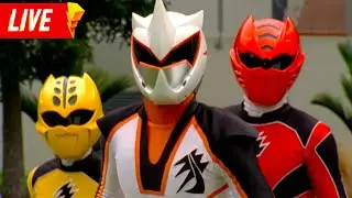 Power Rangers Jungle Fury 🔴 LIVE 24/7 | Power Rangers Official