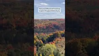 Can I Tell You a Secret about Dufferin County? 🍂