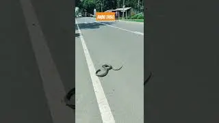 #anbutn30 #instagram #salem #instareels #shortvideo #shots #driving #instatravel #life