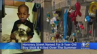 Street Named For Janari Ricks, 9-Year-Old Shot And Killed Outside Cabrini Rowhouses