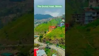 The Orchid Hotel Valley View Room, Shimla #home  #hotel  #shimla #roomtour #comfortablestays #luxury