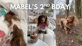 Mabel's 2nd birthday🥳✨🎀🧁