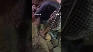 Palestinian woman rescued from rubble following Israeli strike in Nuseriat