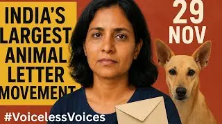 Street dogs India |Stop the Mass Removal of Stray Dogs in Delhi &mdash; Support Humane Solutions |