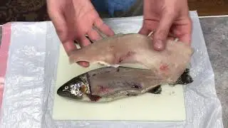 Catch and Cook Rainbow Trout. How to fillet trout. Frank's Red Hot Sauce Recipe for fish.