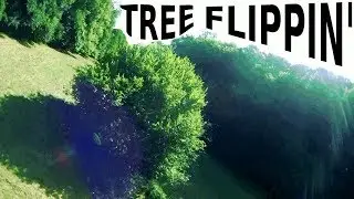 Tree Flippin' - FPV