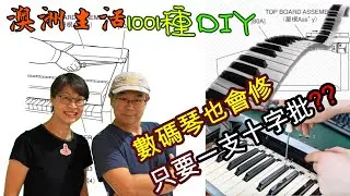 【498】 節省至少AU$1000 數碼琴也會修   只要一支十字批??