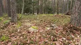 Grobowce megalityczne w Nadleśnictwie Świdwin