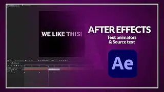 After effects: Animate text and source text