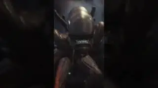 Did you know that in ALIEN ISOLATION...