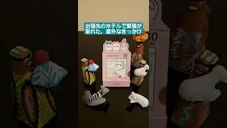 恋愛と仕事って対極にあると言うよね#涙活#失恋#出張ハック