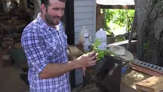 Rise+Live with Roby and Suze: Farmhouse AF with Farmer Jay