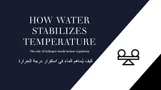 Video 6: How Water Stabilizes Temperature  كيف يُساهم الماء في استقرار درجة الحرارة