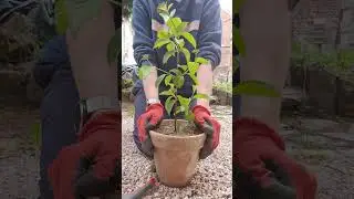 Un voisin tr&egrave;s &eacute;nervant... #foryou #fypage #funny #humor #viralvideo #fyp #videoshort #viralshort