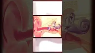 Inner Ear and Balance Problems