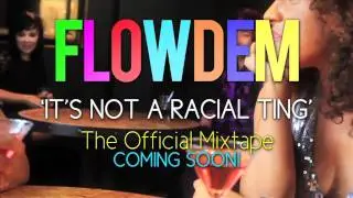 FlowDem Mixtape [Sampler]