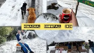 Himachal live snowfall ❄️🌨️❄️ January 2026 